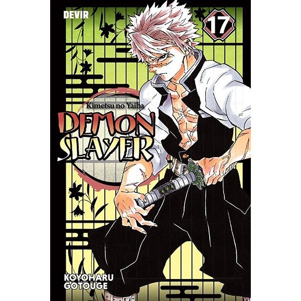Demon Slayer 17: Sucessores