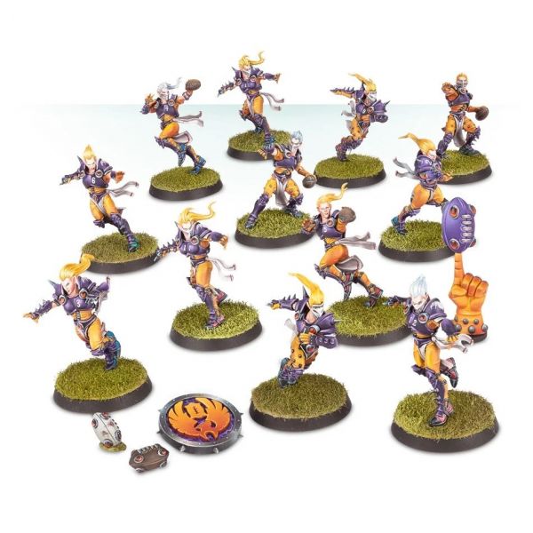 The Elfheim Eagles Blood Bowl team