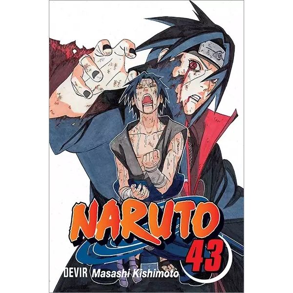 Naruto 43: O Portador da Verdade (PT)